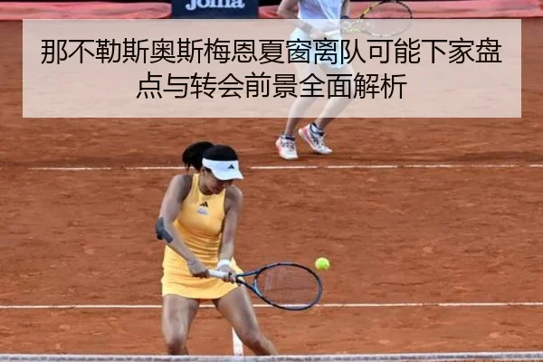 那不勒斯奥斯梅恩夏窗离队可能下家盘点与转会前景全面解析